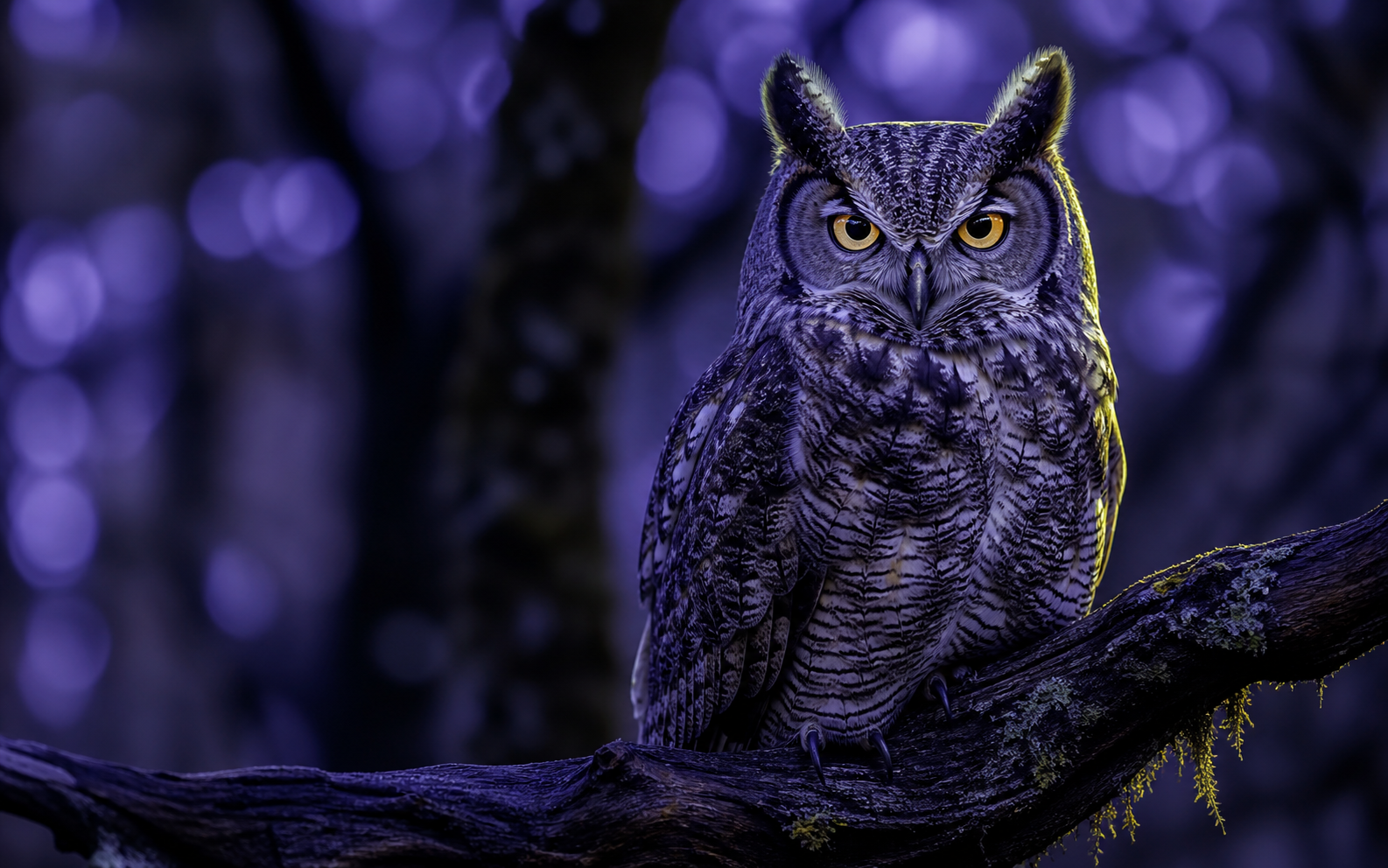 Reveal wildlife texture after